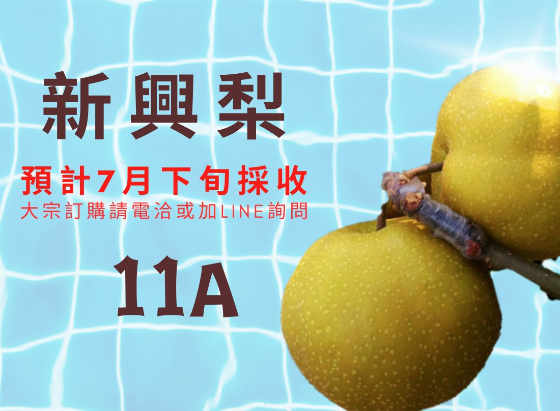 新興梨