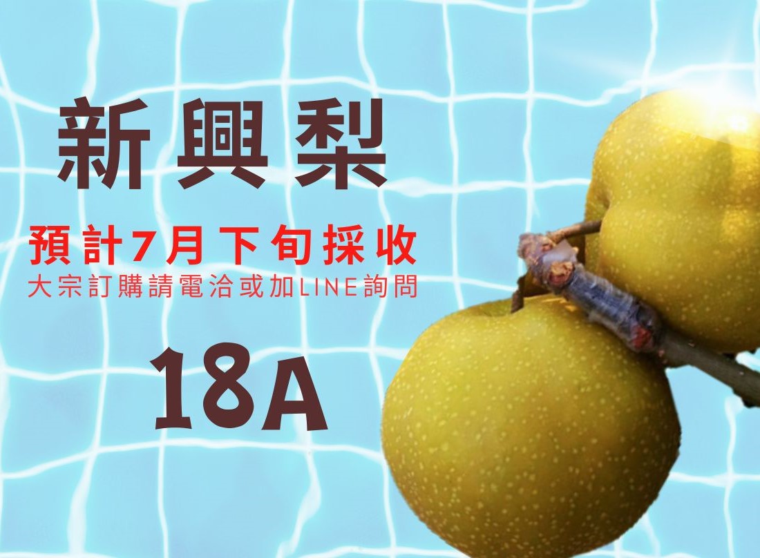 新興梨