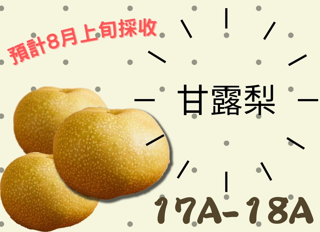 甘露梨