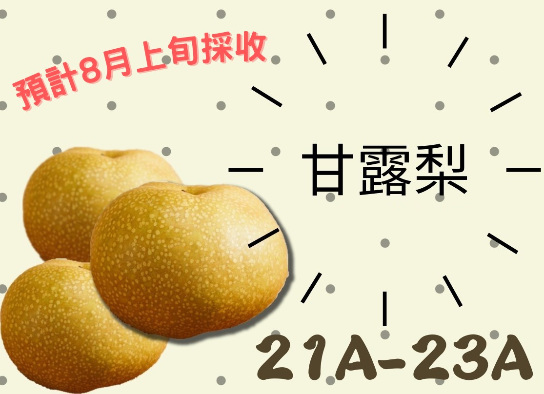 甘露梨