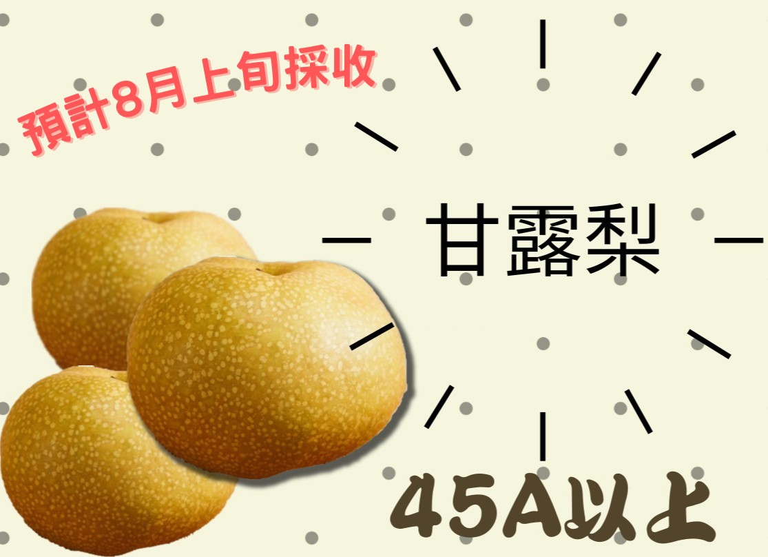 甘露梨